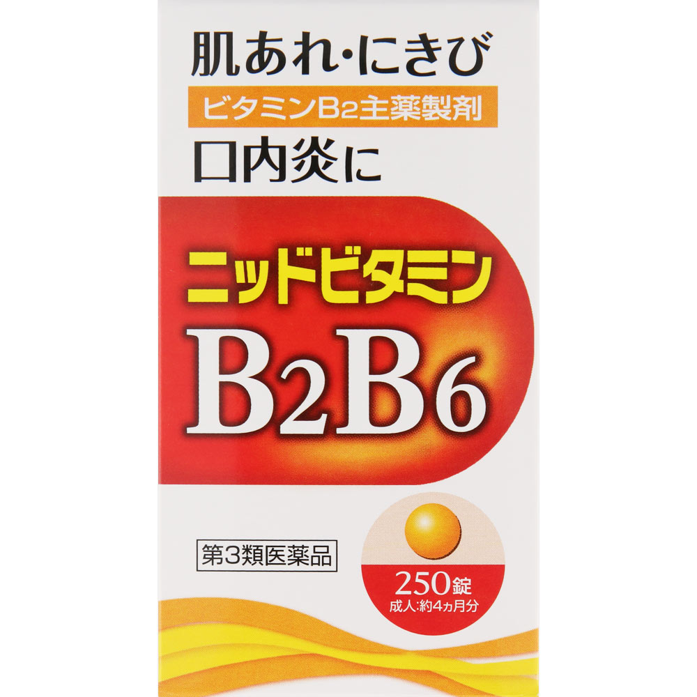 ニッド ビタミンＢＢ錠 250錠