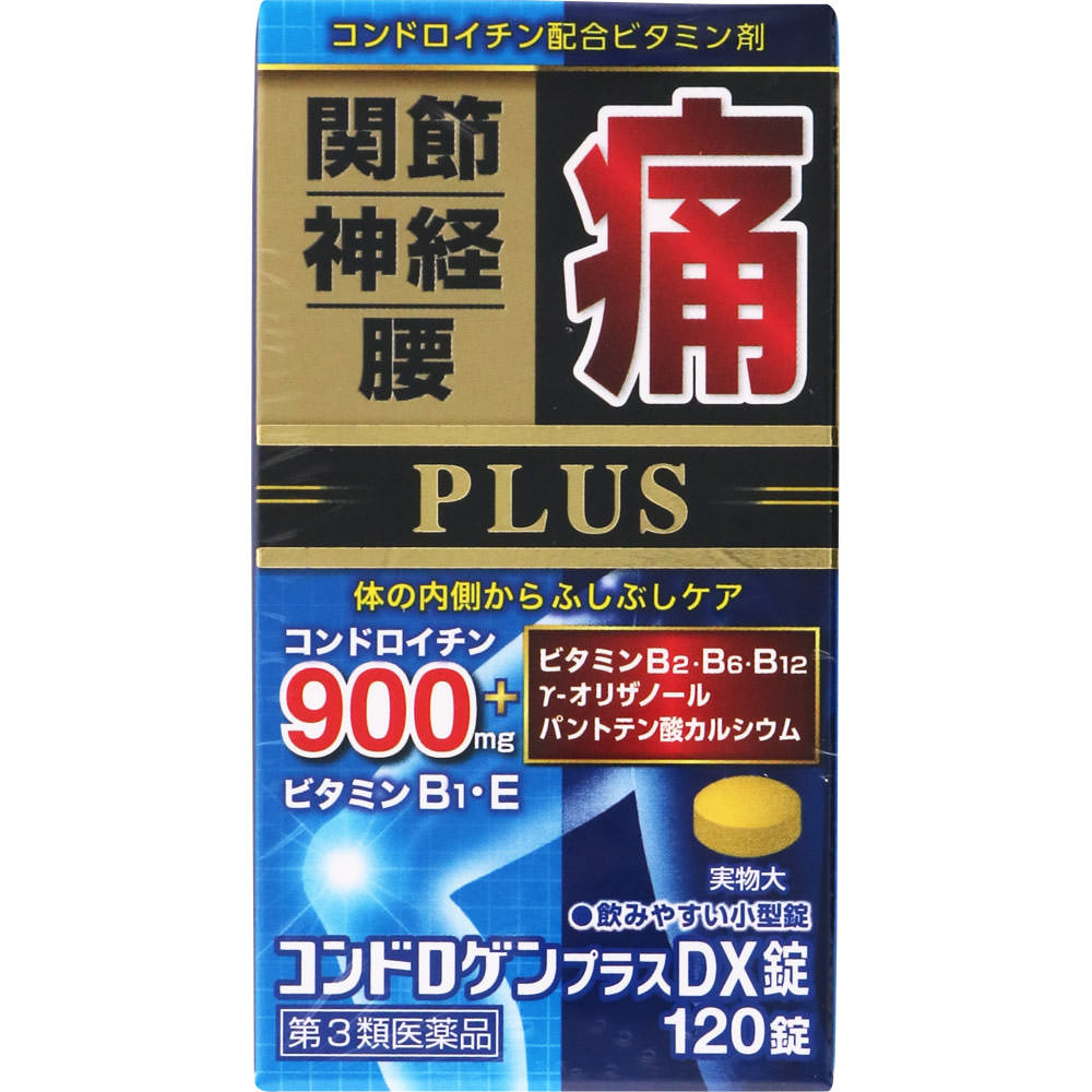 コンドロゲンプラスＤＸ錠 120錠