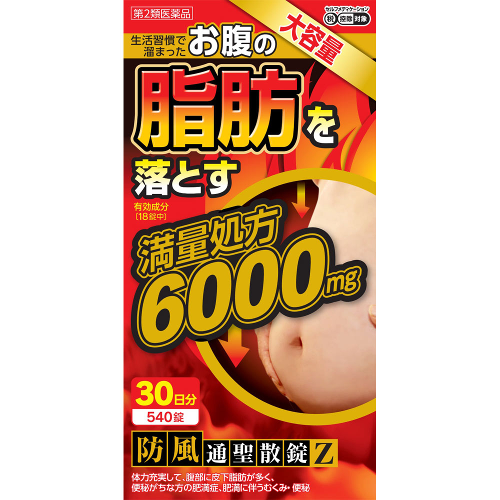 ＮＩＤ 防風通聖散錠Ｚ ６０００ 540錠